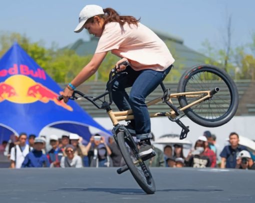 BMX Freestyle Trick paint by numbers