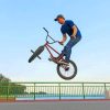 BMX Trick In The Air paint by numbers