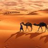 Camel Caravan In The Sahara paint by numbers