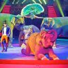 Circus Elephants Performing paint by numbers