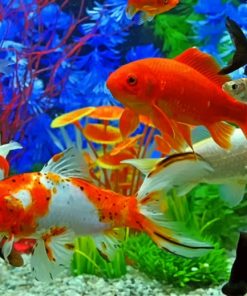 Colorful Fishes In Aquarium paint by numbers