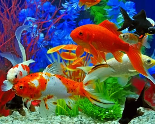 Colorful Fishes In Aquarium paint by numbers