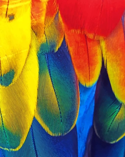 Colorful Parrot Feather paint by numbers