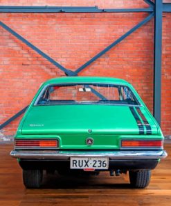 Green Holden Torana GTR paint by numbers