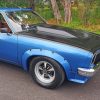 Blue Holden Torana GTR paint by numbers