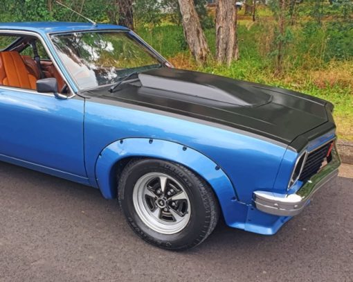 Blue Holden Torana GTR paint by numbers