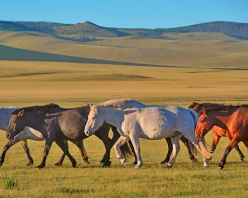 A Group Of Horses Walking paint by numbers