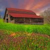 House In The Fields paint by numbers