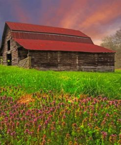 House In The Fields paint by numbers