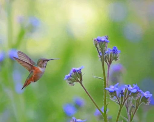 Humming Bird Near Flowers paint by numbers