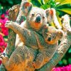 Koala Bears In The Tree paint by numbers