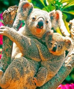 Koala Bears In The Tree paint by numbers