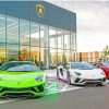 A Row Of Lamborghini Cars paint by numbers