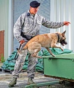 Military Dog Training paint by numbers