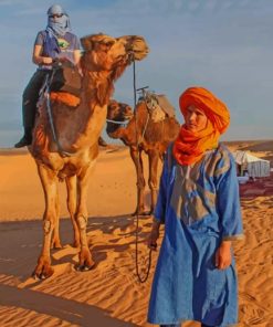 Moroccan Camel Tour paint by numbers