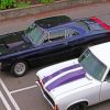 Muscle Cars Parked paint by numbers