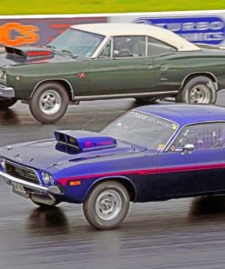 Muscle Cars Racing paint by numbers