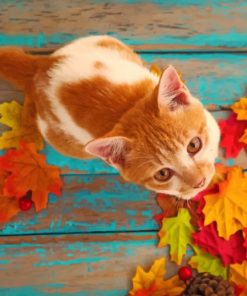 Orange Cat And Fall Leaves paint by numbers