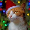 Orange Cat With Christmas Hat paint by numbers