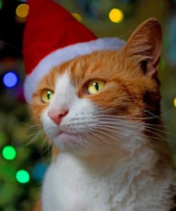 Orange Cat With Christmas Hat paint by numbers