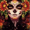 Sugar Skulls Woman paint by numbers