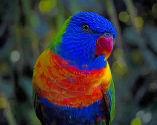 Blue And Orange Parrot paint by numbers