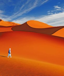 A Person Walking The Sahara paint by numbers