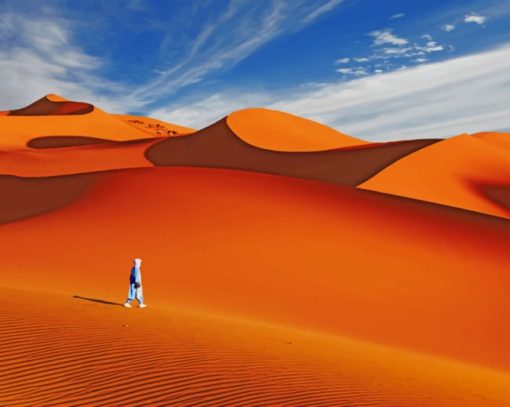 A Person Walking The Sahara paint by numbers