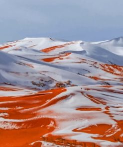 Snowy Saharan Vibes paint by numbers