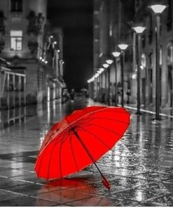 Red Umbrella Paint by numbers