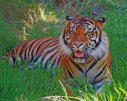 Tiger On The Grass paint by numbers