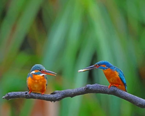 Two Birds On A Branch paint by numbers