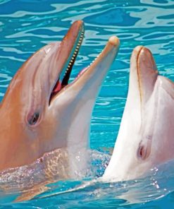 Two Dolphins In The Ocean paint by numbers