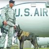 U.S Airforce And A Dog paint by numbers