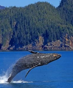 Whale Jumping Out Of Water paint by numbers