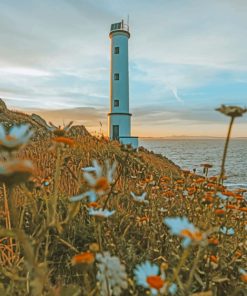 Flower Field And Light House paint by numbers