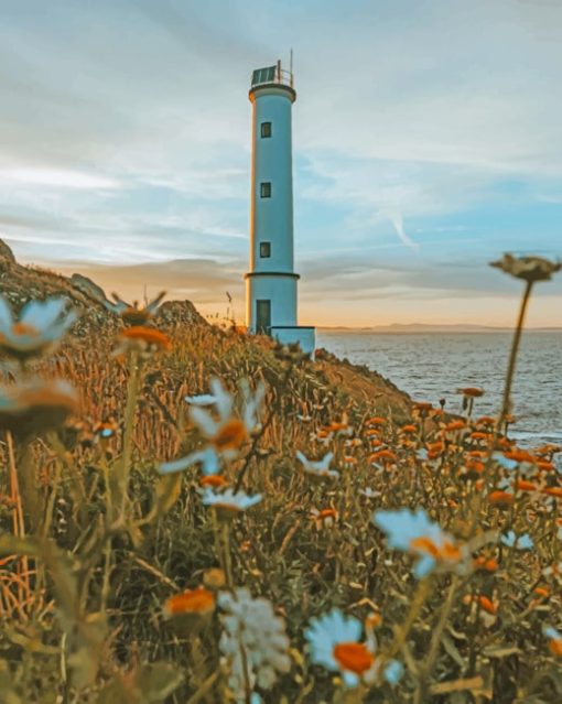 Flower Field And Light House paint by numbers