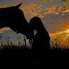 Woman Kissing A Horse paint by numbers