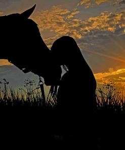 Woman Kissing A Horse paint by numbers