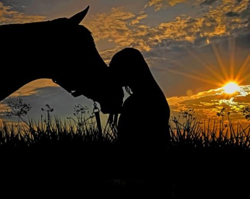 Woman Kissing A Horse paint by numbers