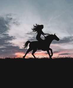 Woman Riding A Horse Silhouette paint by numbers