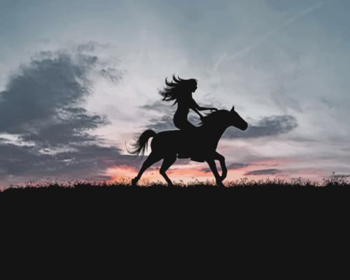 Woman Riding A Horse Silhouette paint by numbers