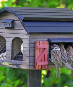 Wooden House For Birds paint by numbers