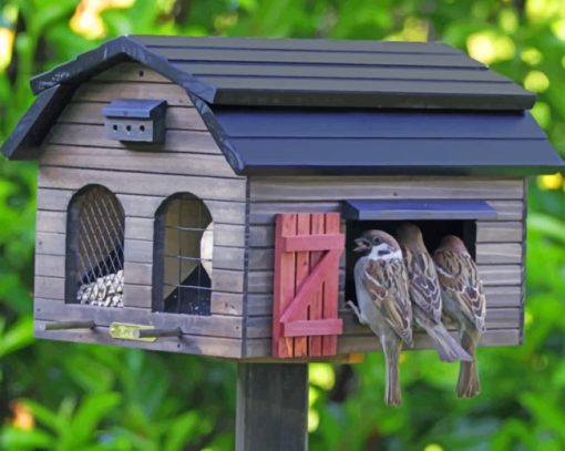 Wooden House For Birds paint by numbers