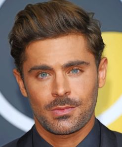 Zac Efron Portrait paint by numbers