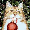 Christmas Cat paint by numbers