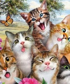 Funny Cats Whit Butterflies paint by numbers