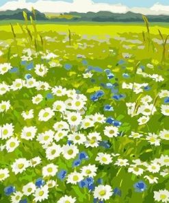 White Daisy Flower paint by numbers