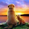 Cat and Dog Watching The Sunset Paint by numbers