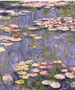 Water Lilies Pond Claude Monet Paint By Numbers